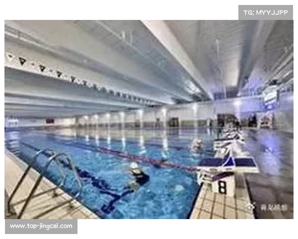 上海计划筹建国家级自由泳训练中心 预计2026年全面投入运营 上海计划筹建国家级自由泳训练中心 预计2026年全面投入运营