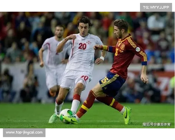 格鲁吉亚赛事筹备加速，市场前景获得高度评价